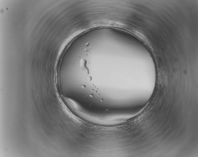 X0000052541136200507291844