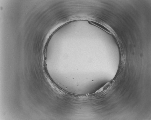 X0000052541144200507291844