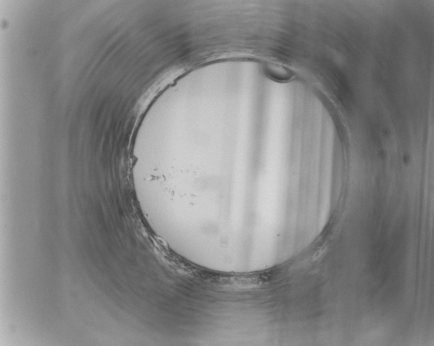 X0000052541145200507291844