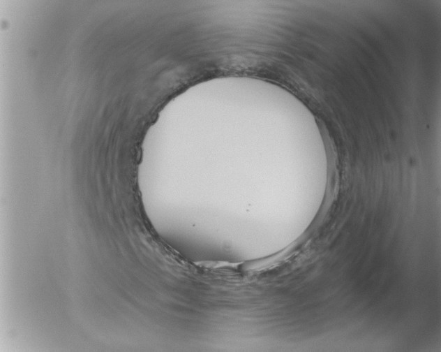 X0000052541153200507291843