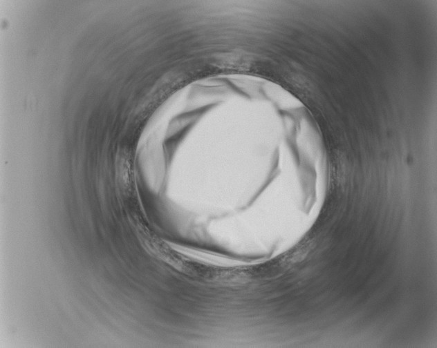 X0000052541154200507291843