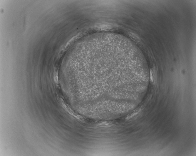 X0000052541155200507291843