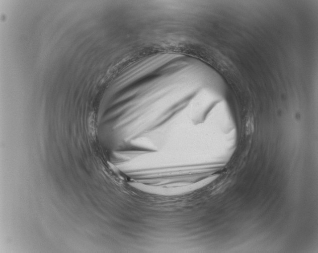 X0000052541156200507291843