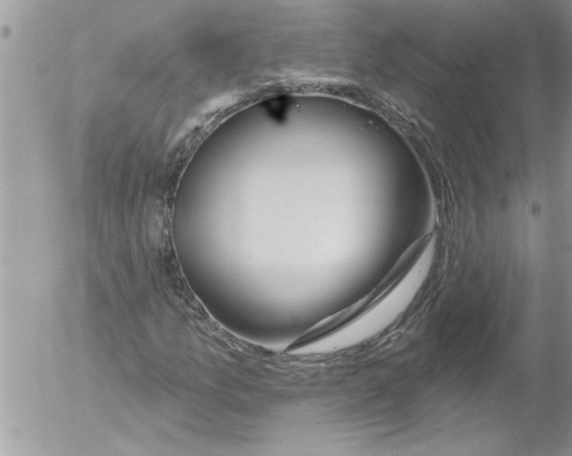 X0000052541157200507291843