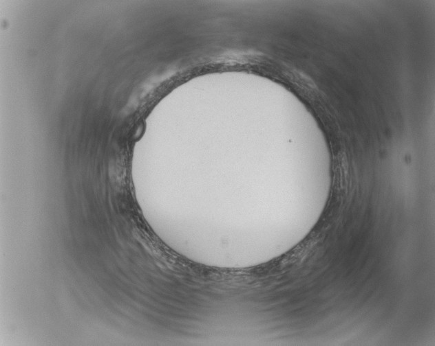 X0000052541158200507291843