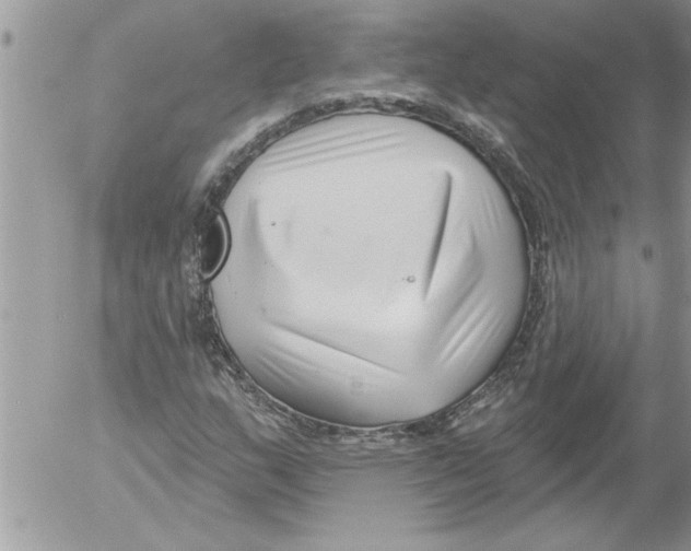 X0000052541159200507291843