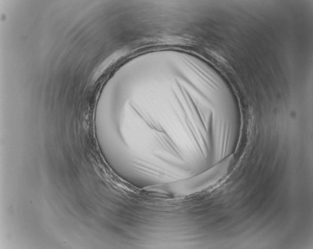 X0000052541163200507291843