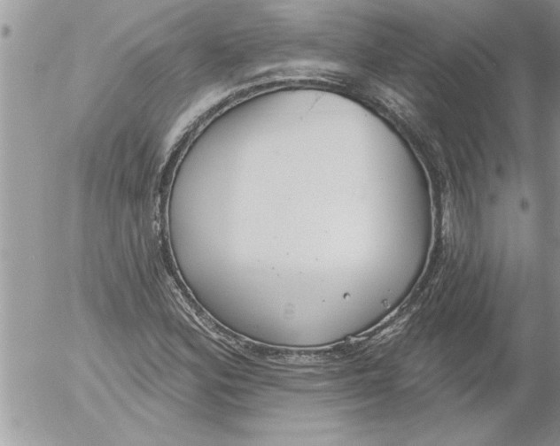 X0000052541164200507291843