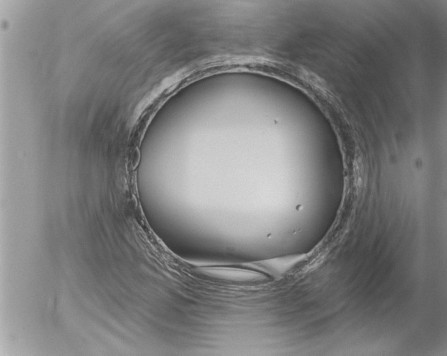 X0000052541165200507291843