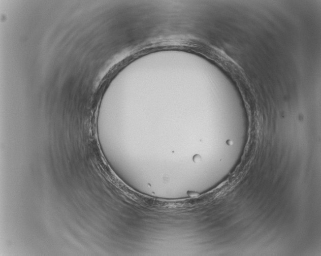 X0000052541166200507291843