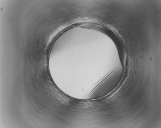 X0000052541167200507291843