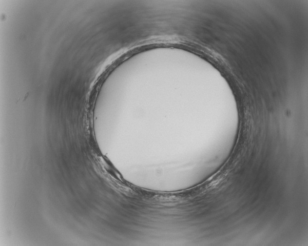 X0000052541168200507291843