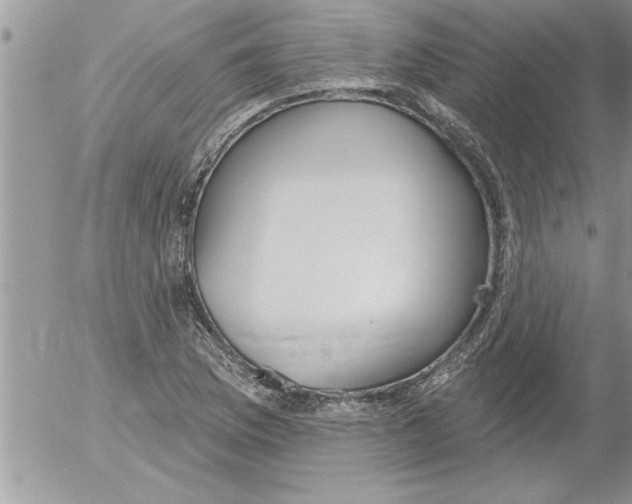 X0000052541169200507291843