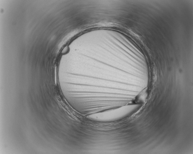 X0000052541171200507291843