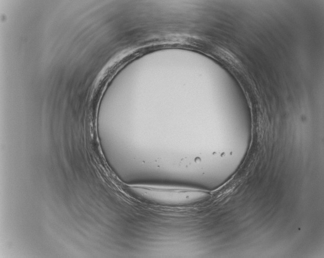 X0000052541172200507291843