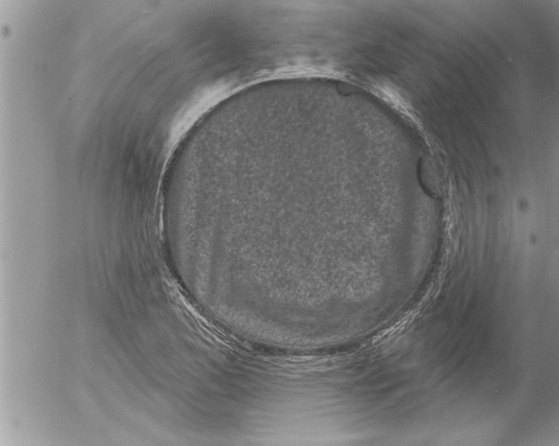 X0000052541173200507291843