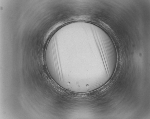 X0000052541174200507291843