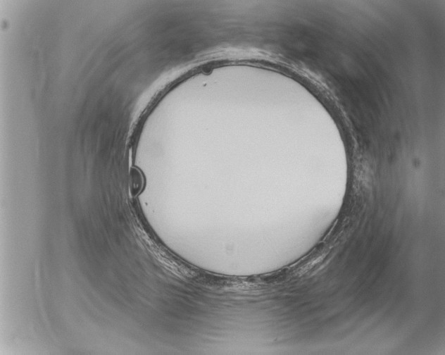 X0000052541175200507291843