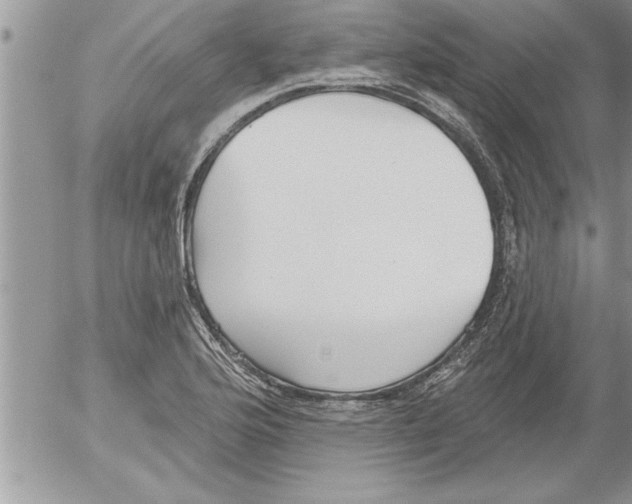 X0000052541176200507291843