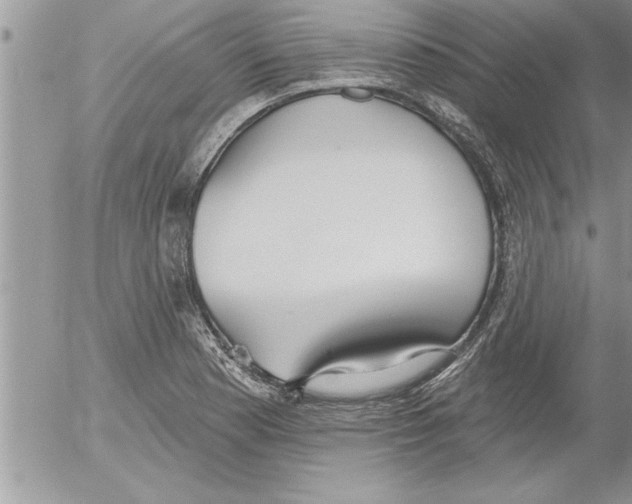 X0000052541177200507291843