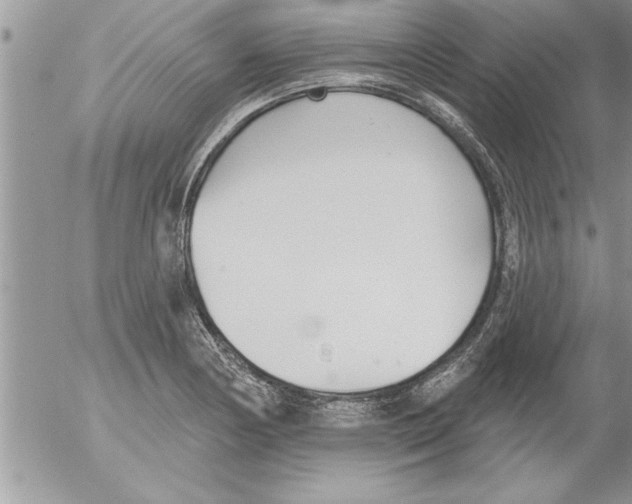 X0000052541178200507291843