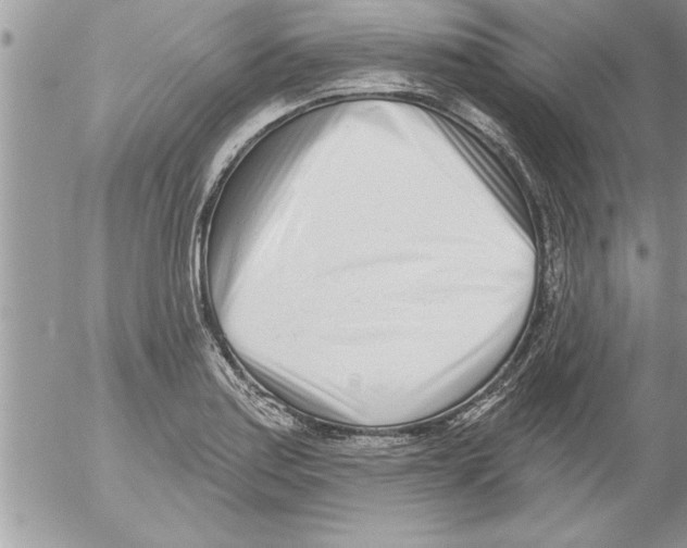 X0000052541179200507291843