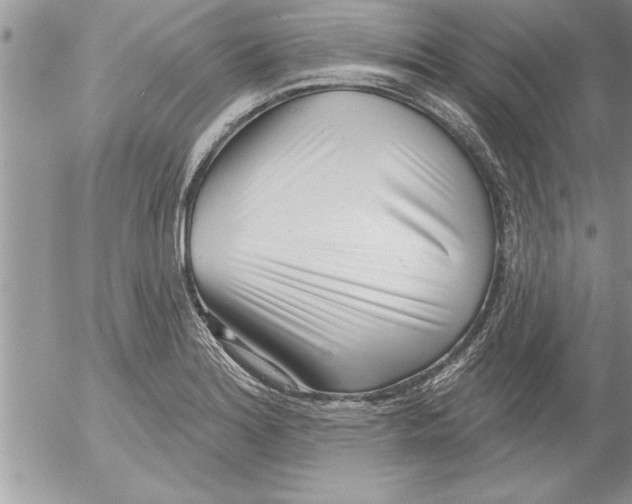 X0000052541180200507291843