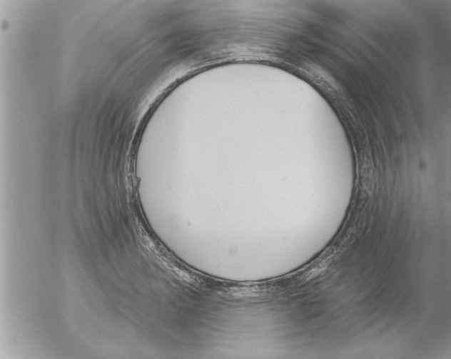 X0000052541182200507291843