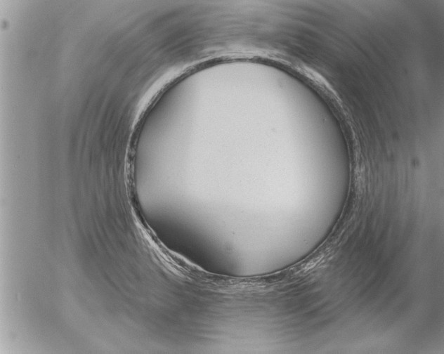 X0000052541183200507291843