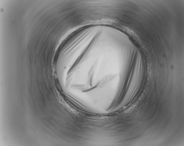 X0000052541184200507291842