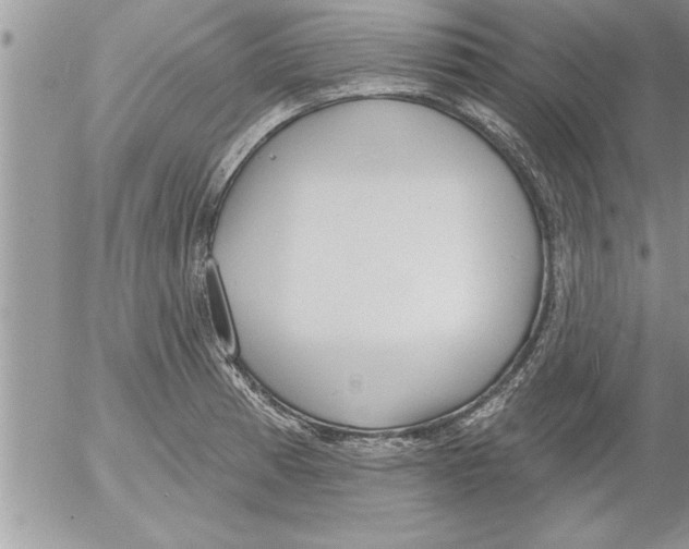 X0000052541185200507291842