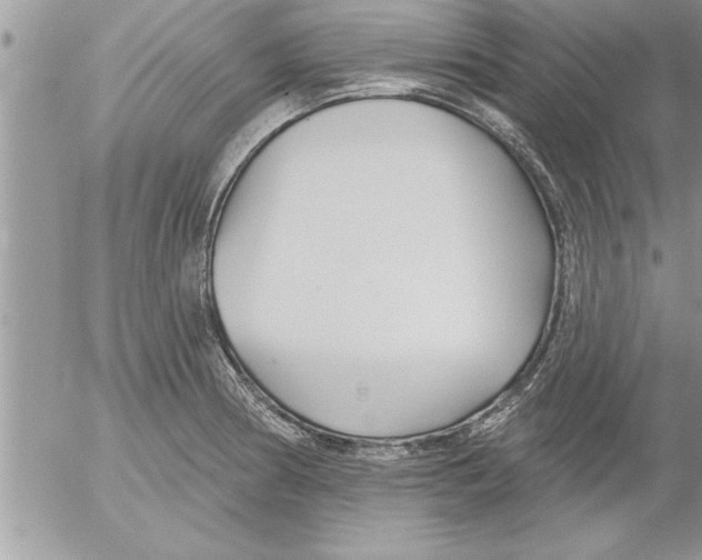 X0000052541186200507291842