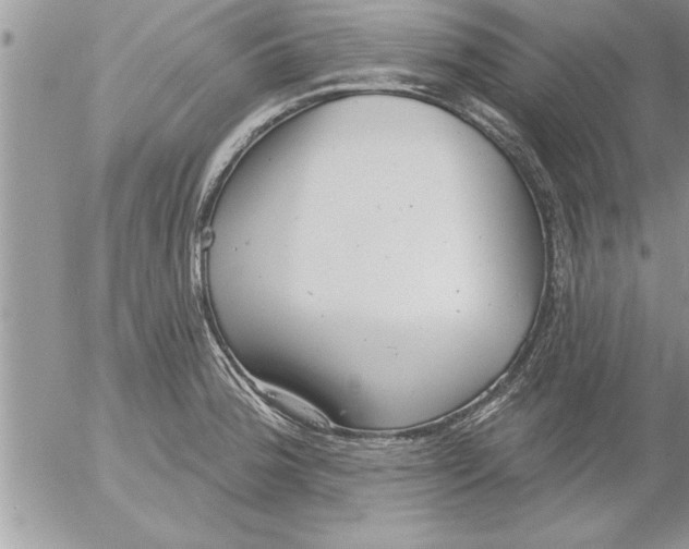 X0000052541188200507291842