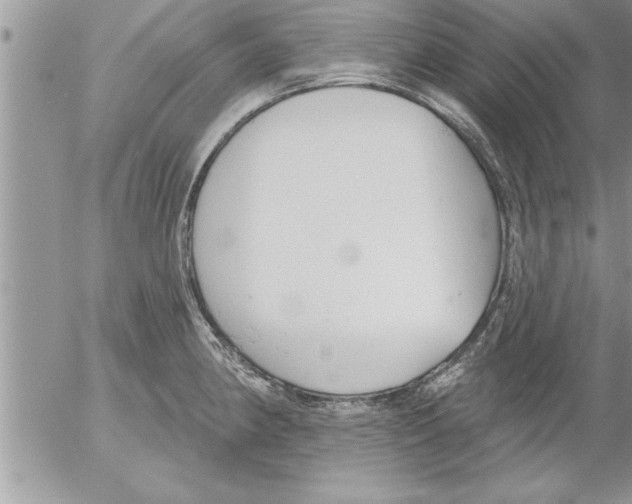 X0000052541190200507291842