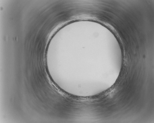 X0000052541191200507291842