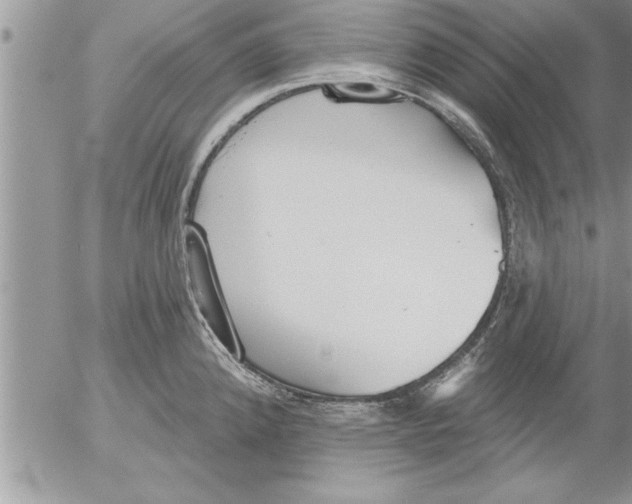 X0000052541192200507291842