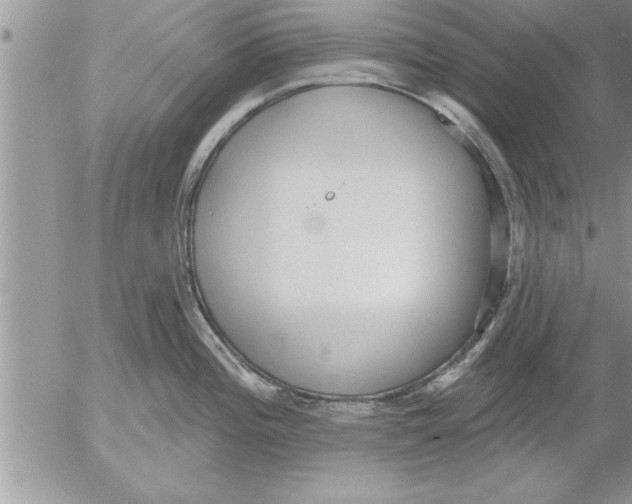 X0000052541196200507291842