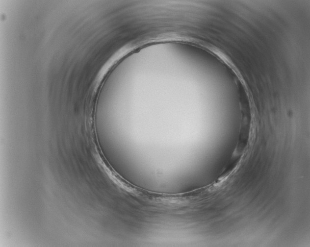 X0000052541197200507291842