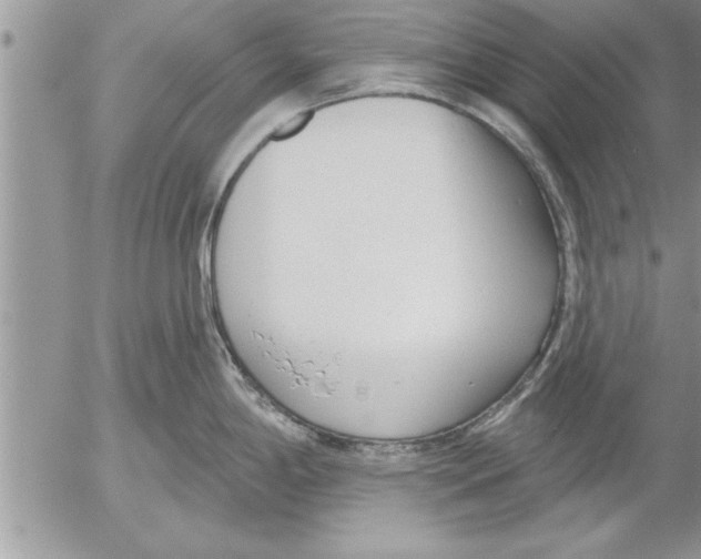 X0000052541198200507291842