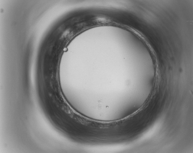 X0000052541199200507291842