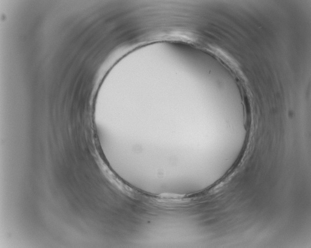 X0000052541200200507291842