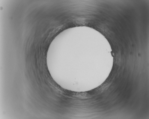 X0000052541201200507291841