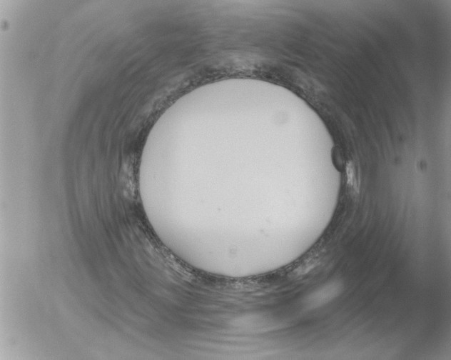 X0000052541203200507291841