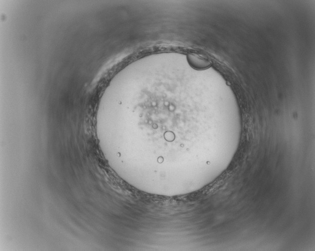 X0000052541207200507291842