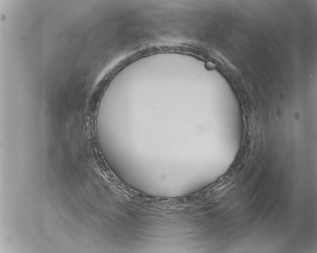 X0000052541208200507291842