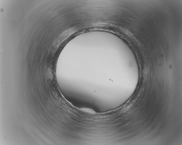 X0000052541209200507291842