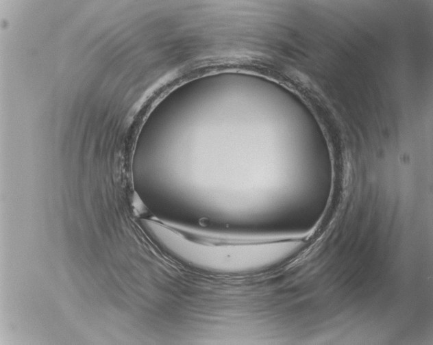 X0000052541210200507291842