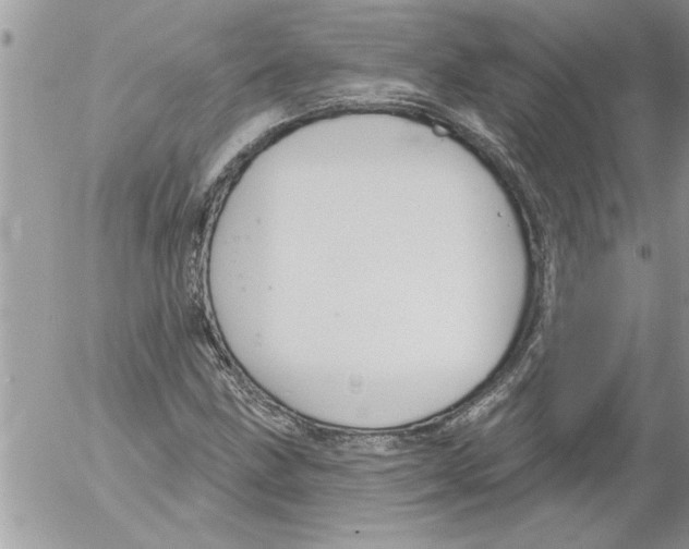 X0000052541211200507291842