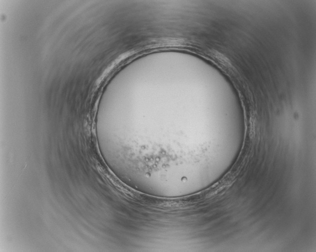 X0000052541212200507291842