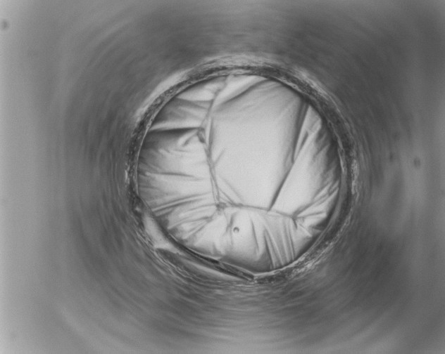 X0000052541213200507291842